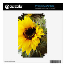Sunflower Decals For iPhone 3