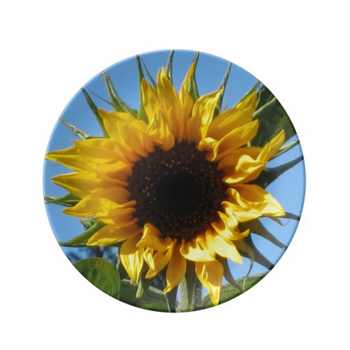 Sunflower Decorative Porcelain Plate 8.5'' Zazzle