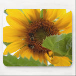 Sunflower Delight mousepads