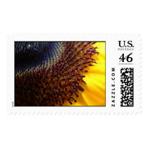 sunflower detail postage