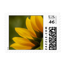 Sunflower Detail Stamp