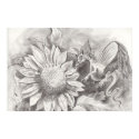 Sunflower Dragon Poster posters