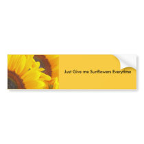 Sunflower Duet bumper stickers