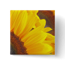Sunflower Duet buttons