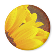 Sunflower Duet magnets by Flowerpixels Sunflower Duet magnets