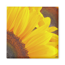 Sunflower Duet magnets by Flowerpixels Sunflower Duet magnets