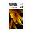 Sunflower Edge postage by designcreatology Sunflower Edge postage