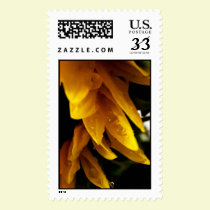 Sunflower Edge postage