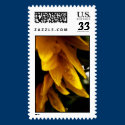 Sunflower Edge postage