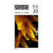Sunflower Edge postage