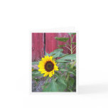 Sunflower Farm Notecard