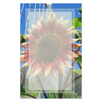 Sunflower Fence Blank Stationery by wingedturtle Sunflower Fence Blank Stationery