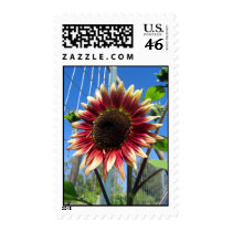 Sunflower Fence Stamps