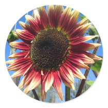 Sunflower Fence Stickers