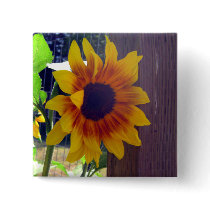 Sunflower Fencepost Buttons