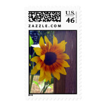 Sunflower Fencepost Stamps