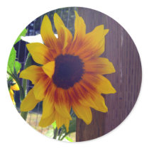 Sunflower Fencepost Stickers