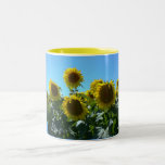 Sunflower Fest--Mug