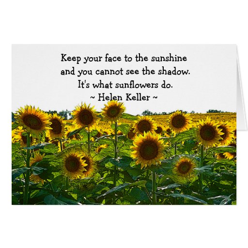 Sunflower Field Encouragement Card Zazzle