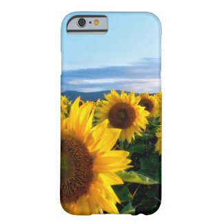 Sunflower Field iPhone 6 Case
