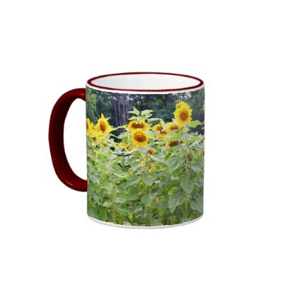 Sunflower Field Mug by kobee5646
