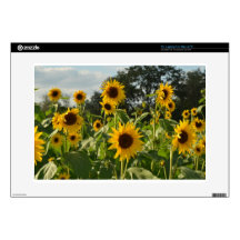 Sunflower Field Skin For Laptop