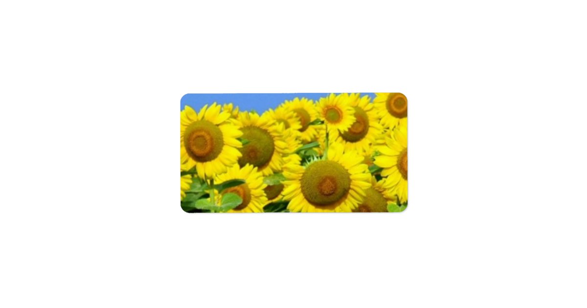 Sunflower Fields Address Label Zazzle