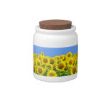 Sunflower Fields Candy Jars