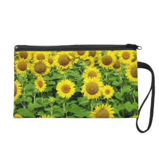 Sunflower Fields Coin Purse