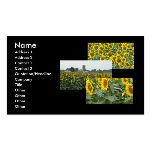 Sunflower Fields Forever! Business Card (front side)