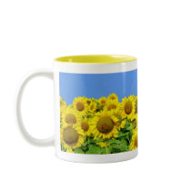 Sunflower Fields Mugs