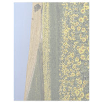 Sunflower fields, Tuscany, Italy Letterhead