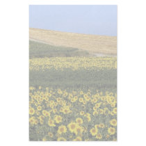 Sunflower fields, Tuscany, Italy Stationery Paper