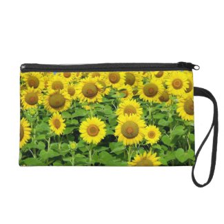 Sunflower Nature Gift Ideas