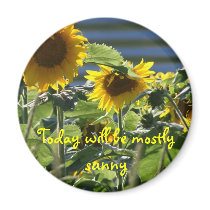 Sunflower Flair magnets