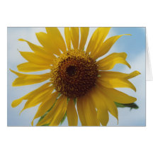 Sunflower Flower Note Card