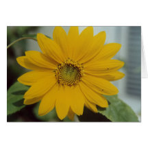 Sunflower Flower Note Card
