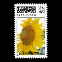 Sunflower flower photography postage stamps