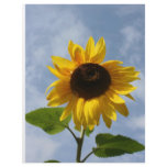 Sunflower Flyer Design