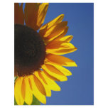 Sunflower Flyer Design