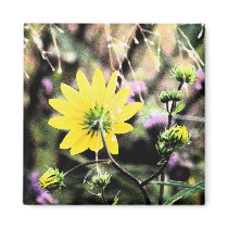 Sunflower Fresco 5 magnets