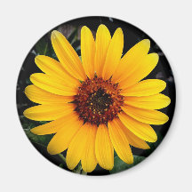 Sunflower Fridge Magnet
