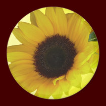 Sunflower Fridge Magnet Cheerful Flower Gift magnets