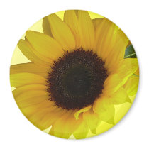 Sunflower Fridge Magnet Cheerful Flower Gift