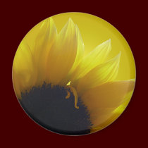Sunflower Fridge Magnet Cheerful Yellow Gifts magnets