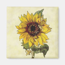 Sunflower Fridge Magnets