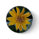 Sunflower Frost buttons by lifesphere Sunflower Frost buttons