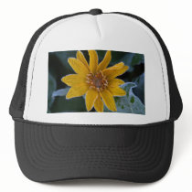 Sunflower Frost hats