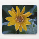 Sunflower Frost mousepads by lifesphere Sunflower Frost mousepads