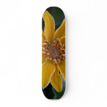 Sunflower Frost Skate Deck